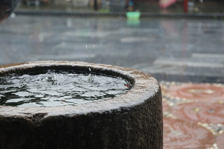 Read more about the article The Role of Smart Plumbing Technologies in Modern Sunshine Coast Homes