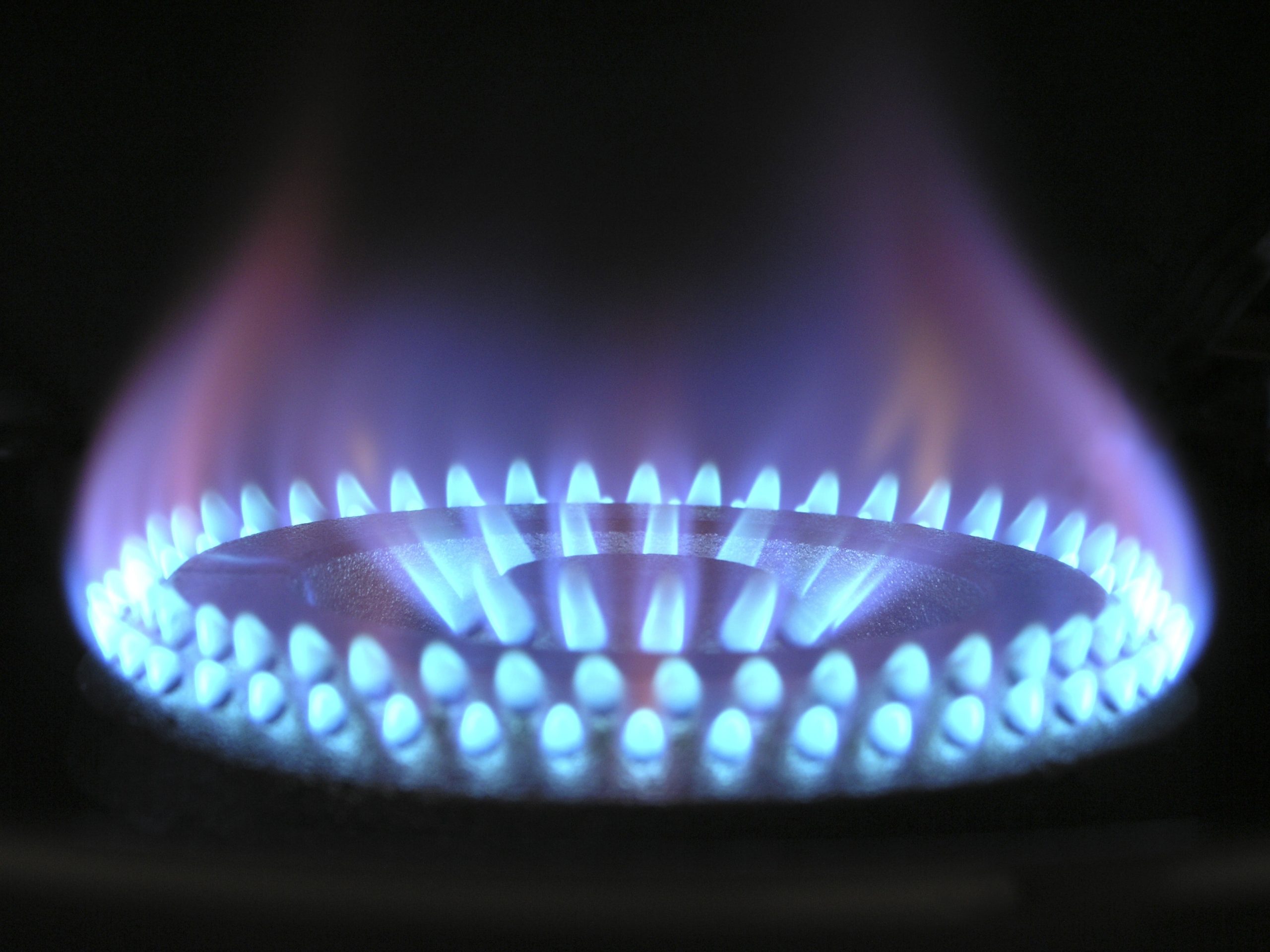 Read more about the article Top Tips to Choose a Caloundra Gasfitter